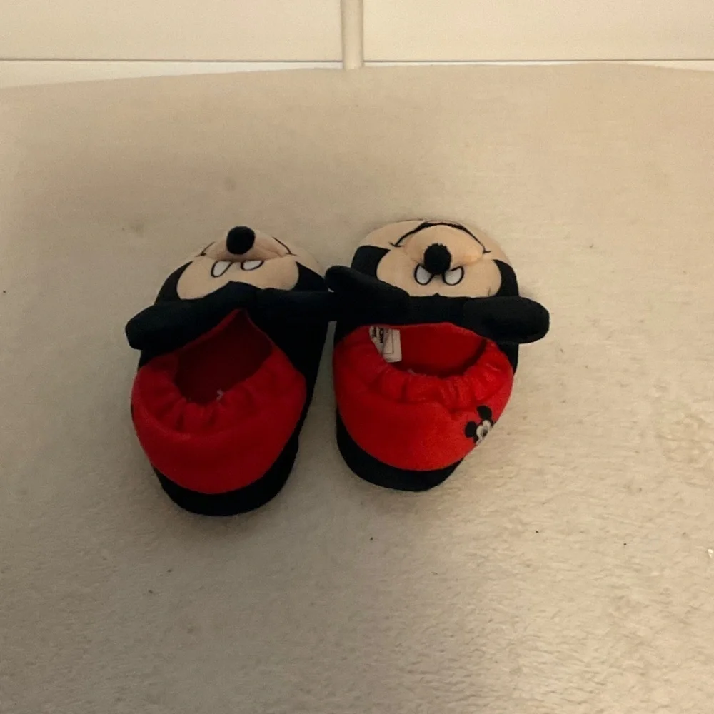Mickey cozy fun